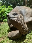 IMG-20190924-WA0019