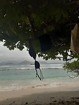 IMG-20190924-WA0027