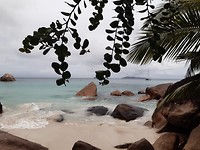 IMG-20190925-WA0032