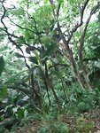 IMG-20190925-WA0031