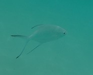 20190925_192459