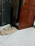 20190925_233526