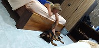 IMG-20190926-WA0012