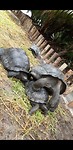IMG-20190928-WA0000