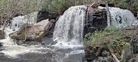 IMG_20230515_120717
