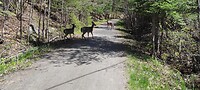 IMG_20230514_122435