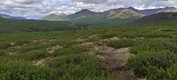 IMG_20230625_152128