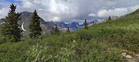 IMG_20230624_123109