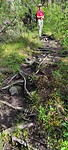 IMG_20230624_110933