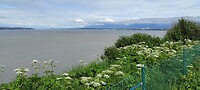 IMG_20230708_162838