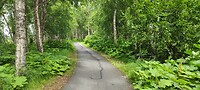 IMG_20230708_160348