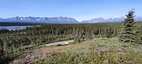 IMG_20230716_100938
