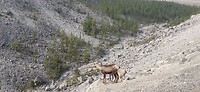 IMG_20230721_180936