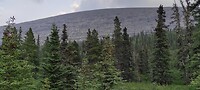IMG_20230721_122445