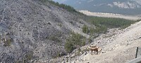 IMG_20230721_100644