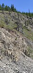 IMG_20230720_122031