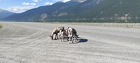 IMG_20230720_103013