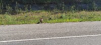 IMG_20230719_104026
