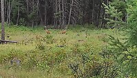 IMG_20230730_085918