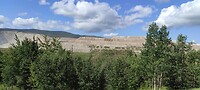 IMG_20230728_100339_1