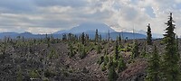 IMG_20230805_105234