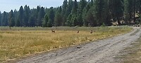 IMG_20230807_112309