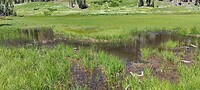 IMG_20230809_113750