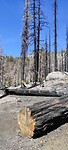 IMG_20230809_113301