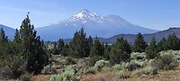IMG_20230808_101951