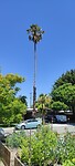 IMG_20230812_141047