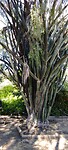 IMG_20230824_151458