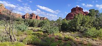 IMG_20230830_072628