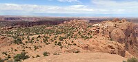 IMG_20230901_114417