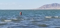 IMG_20230905_174217