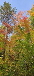 IMG_20230925_144726
