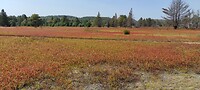 IMG_20230925_130011