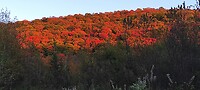 IMG_20230924_184632