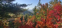 IMG_20230930_095938
