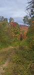 IMG_20230929_121224