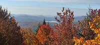 IMG_20230929_110219