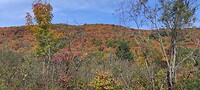 IMG_20231002_124035