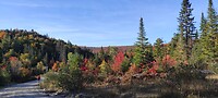 IMG_20231001_161259