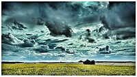 IMG_6311