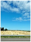 IMG_6319