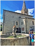 IMG_6340