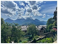IMG_6343