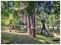 IMG_6405