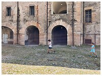 IMG_6451