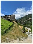 IMG_6466