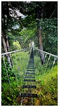 IMG_6393